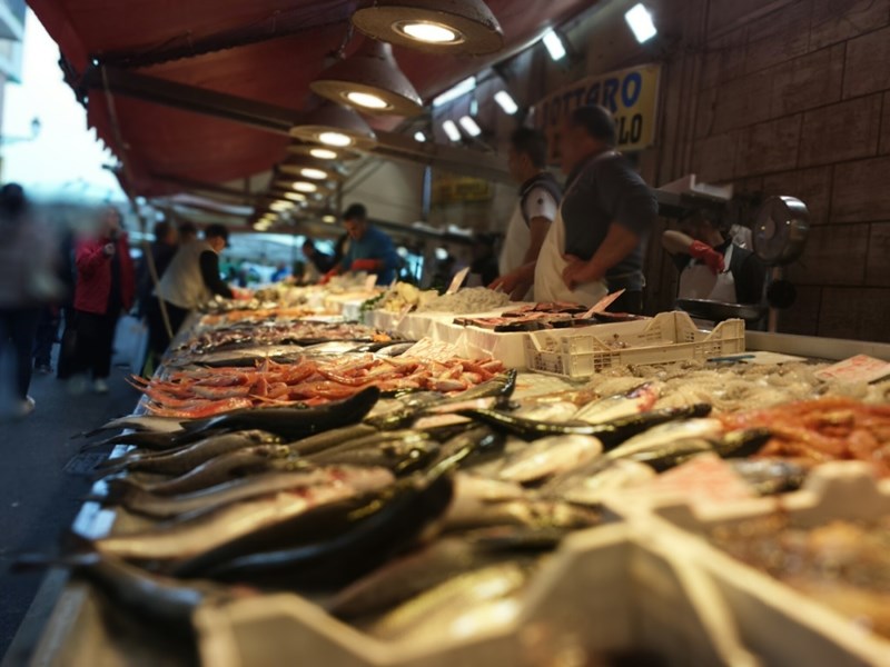 ΤΟΠΙΚΗ ΑΓΟΡΑ ΟΡΤΥΓΙΑΣ