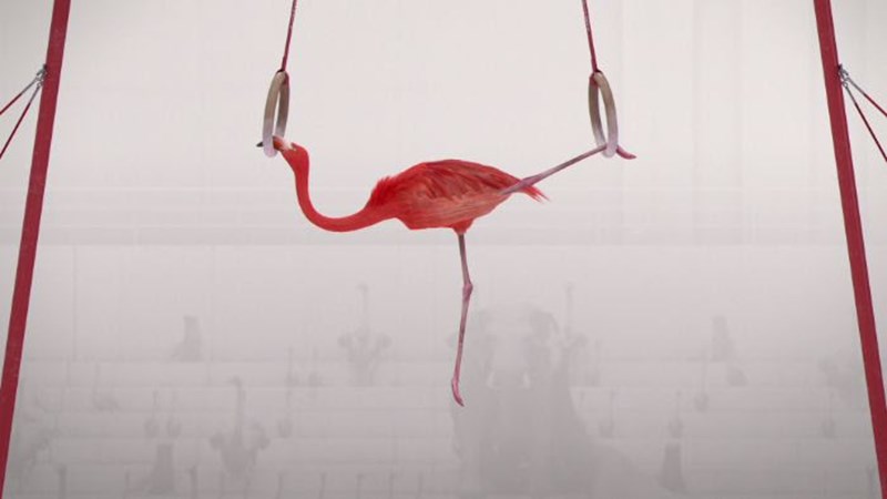 Animasyros 12 Διεθνές Φεστιβάλ Κινουμένων Σχεδίων