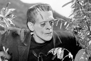 Επιστήμονες μετέτρεψαν νεκρά πουλιά σε ζόμπι-drones για να μας κατασκοπεύουν - εικόνα 1