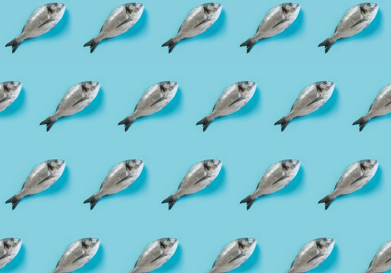 ΨΑΡΙΑ ΕΠΟΧΙΚΟΤΗΤΑ