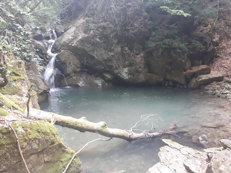 ΤΡΕΝΟ ΒΕΡΜΙΟ 3