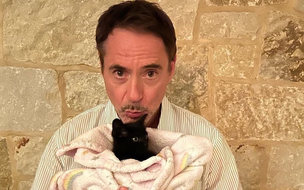 Τα ζώα βλέπουν τον κόσμο μας πολύ διαφορετικά - εικόνα 1