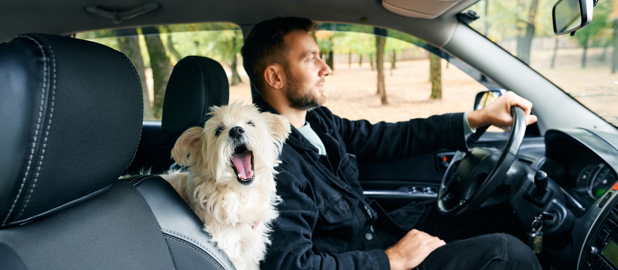 Αυτές είναι οι ράτσες σκύλων που ζουν περισσότερο - εικόνα 4