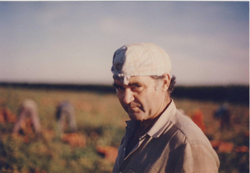 ΤΡΙΧΟΠΤΩΣΗ