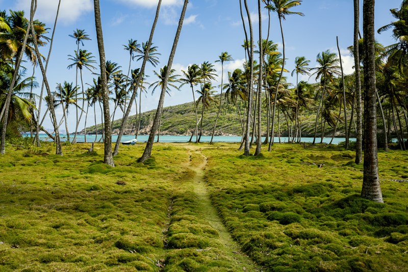Saint Vincent και Grenadines