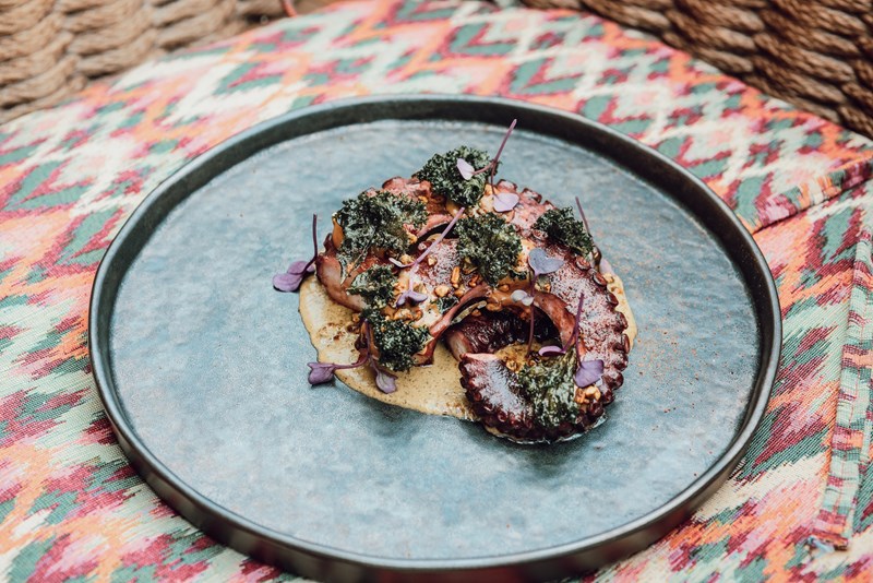 ΕΣΤΙΑΤΟΡΙΟ COYOACAN PLAYA ΒΑΡΚΙΖΑ 1