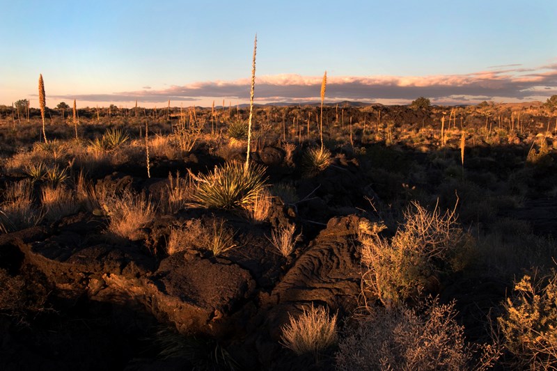 ΣΟΤΟΛ ΕΡΗΜΟΣ ΤΣΙΟΥΑΟΥΑ