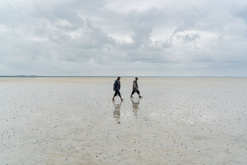 ΝΙΚΟΛΑΣ ΜΑΣΤΟΡΑΣ