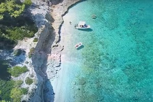 Γιατί δεν πρέπει να μαζεύουμε κοχύλια από την παραλία, σύμφωνα με την επιστήμη - εικόνα 2