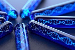 Γιατί οι άνθρωποι δεν έχουν ουρά - εικόνα 1