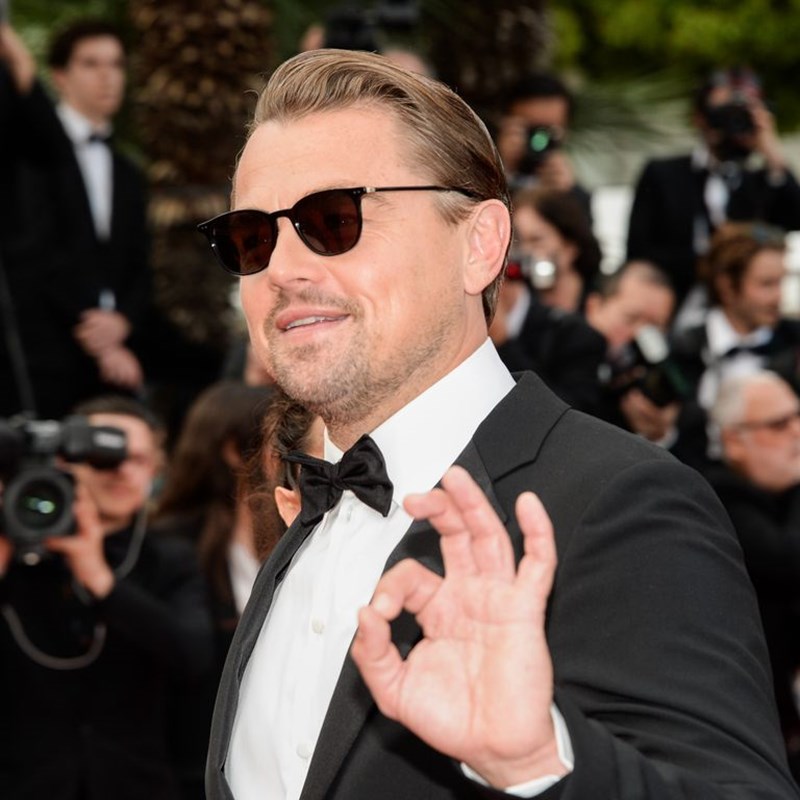 ΓΥΑΛΙΑ ΗΛΙΟΥ ΛΕΟΝΑΡΝΤΟ ΝΤΙ ΚΑΠΡΙΟ