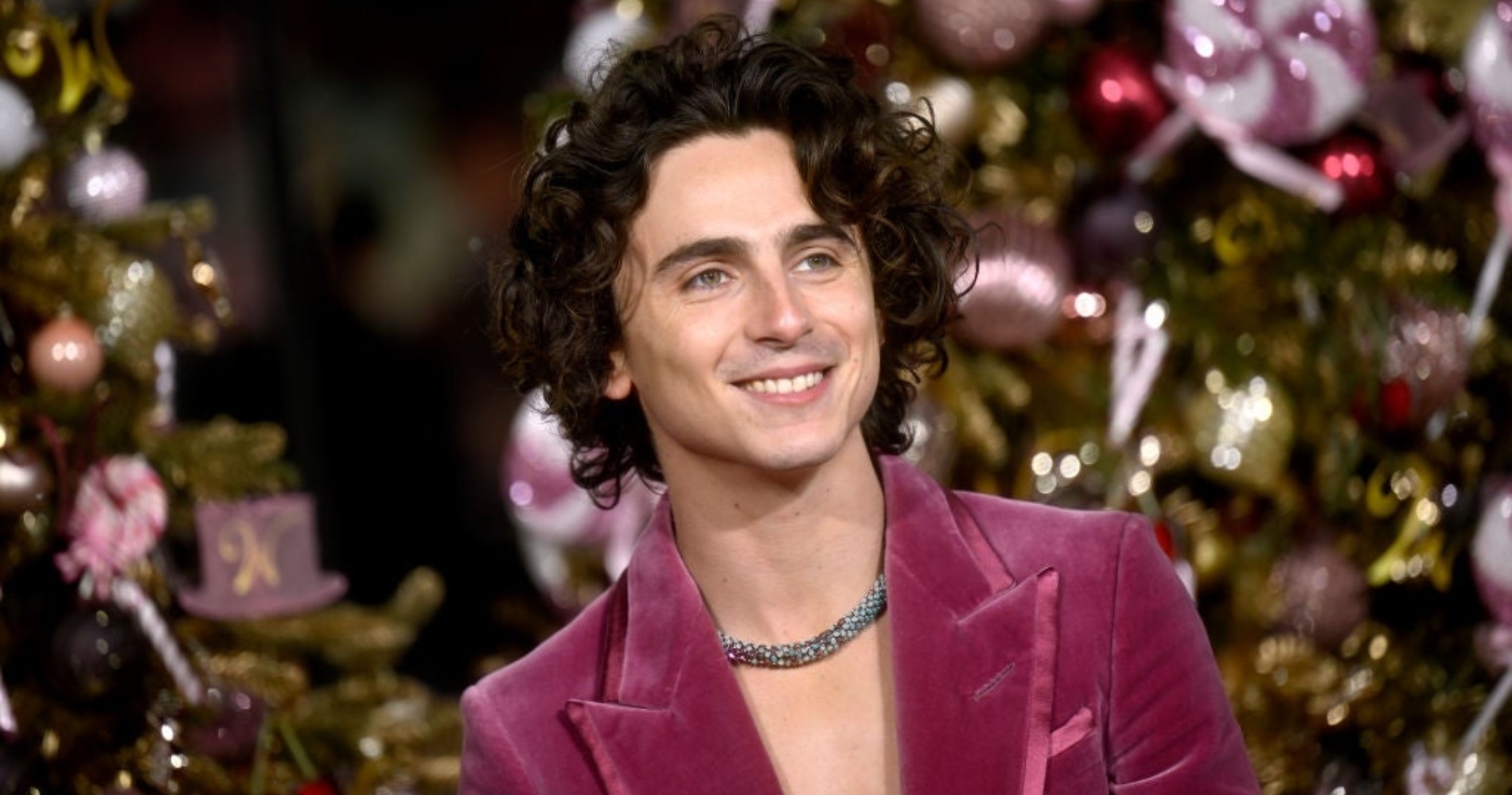 Ο Timothée Chalamet πήγε σε διαγωνισμό με σωσίες του και έγιναν συλλήψεις - εικόνα 1