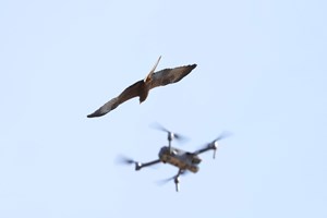 Μπορεί η Ινδία να γίνει μια "υπερδύναμη των drones"; - εικόνα 2