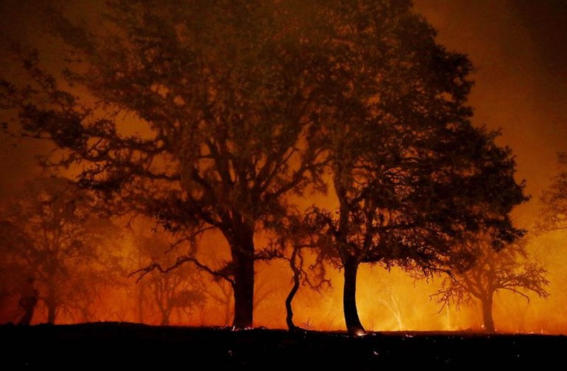 Καλιφόρνια 33
