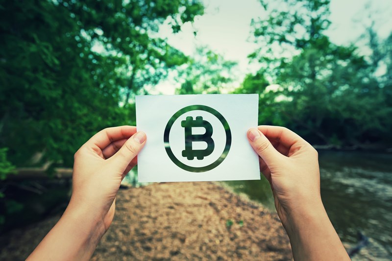 χέρι κρατάει χαρτί με το σήμα του bitcoin σε δάσος