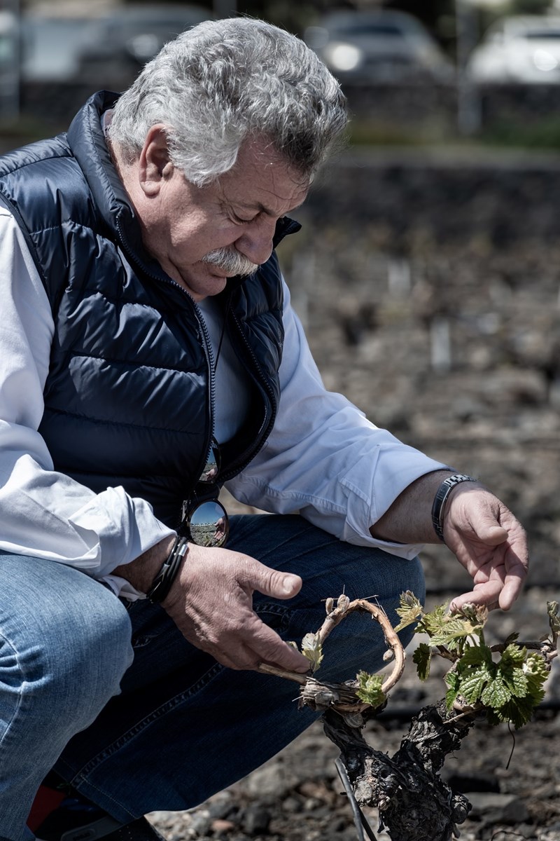 Λευτέρης Λαζάρου