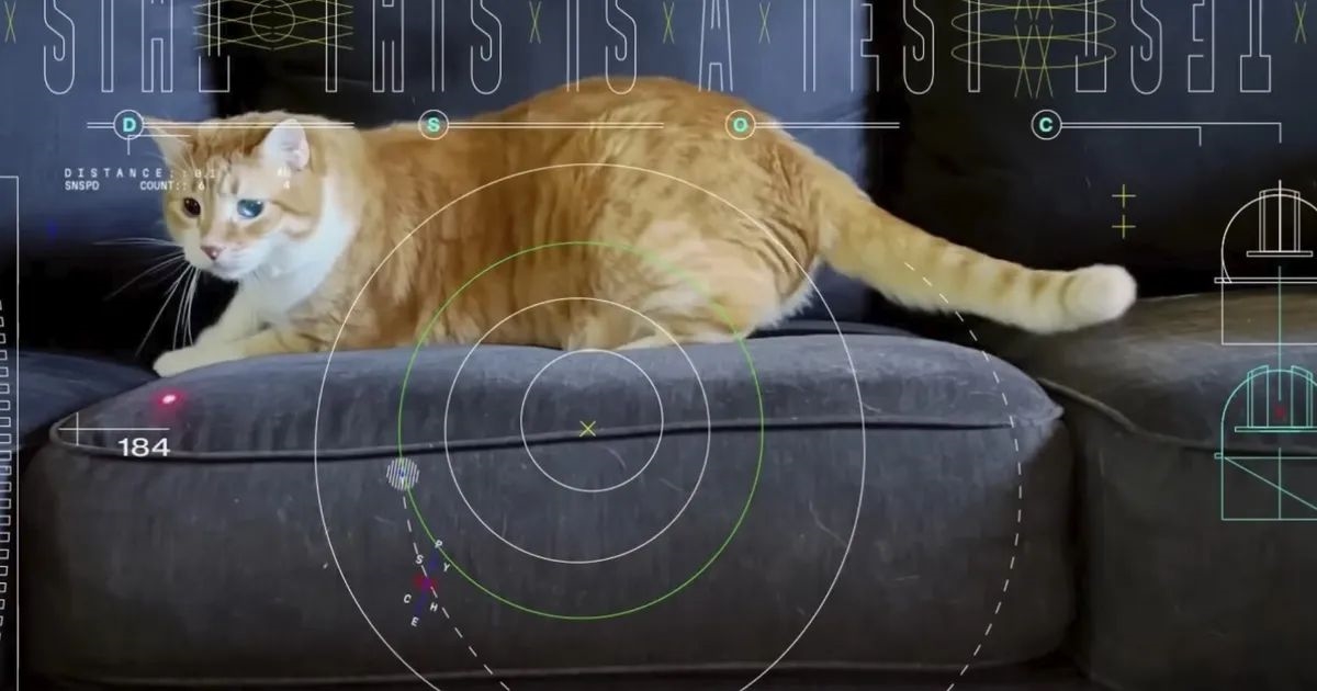 Σταματώντας τον πόλεμο ανάμεσα στον σκύλο και τη γάτα σου - εικόνα 1