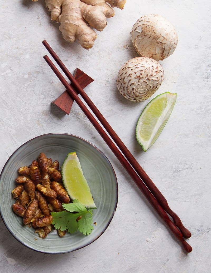 ΦΑΓΗΤΟ ΣΤΟ ΜΕΛΛΟΝ 3