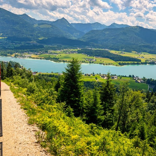 Με ένα τατουάζ ταξιδεύεις δωρεάν στην Αυστρία για ένα χρόνο