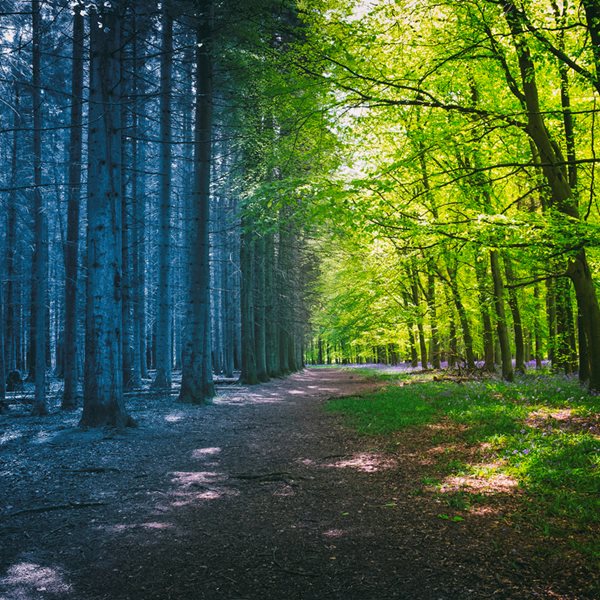 Η κλιματική αλλαγή θα εξαφανίσει την άνοιξη και το φθινόπωρο