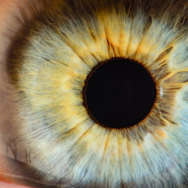 Κι όμως, υπάρχει ένα χρώμα ματιών που έχει μόνο το 1% του πληθυσμού