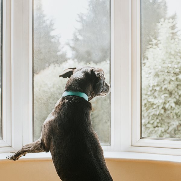 Καθόλου απίθανο να ζήσουμε ένα δεύτερο lockdown στην Αττική