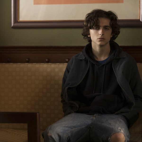 Θα είναι το 2019 η χρονιά του Timothée Chalamet;