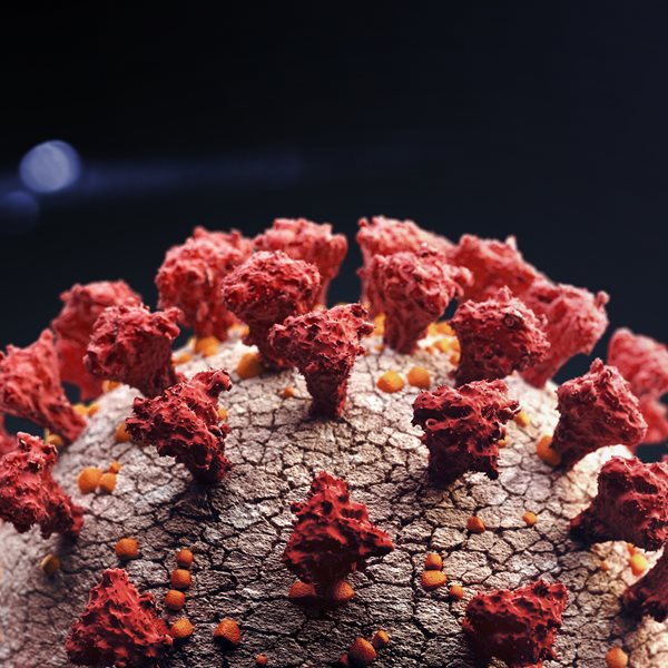 Και μετά τον κορονοϊό, ο Τσαπάρε