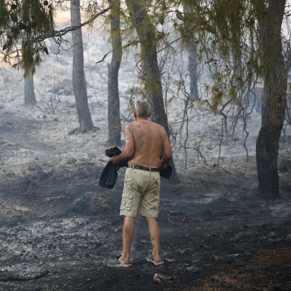 Τα μέτρα στήριξης για σπίτια και επιχειρήσεις στις πυρόπληκτες περιοχές
