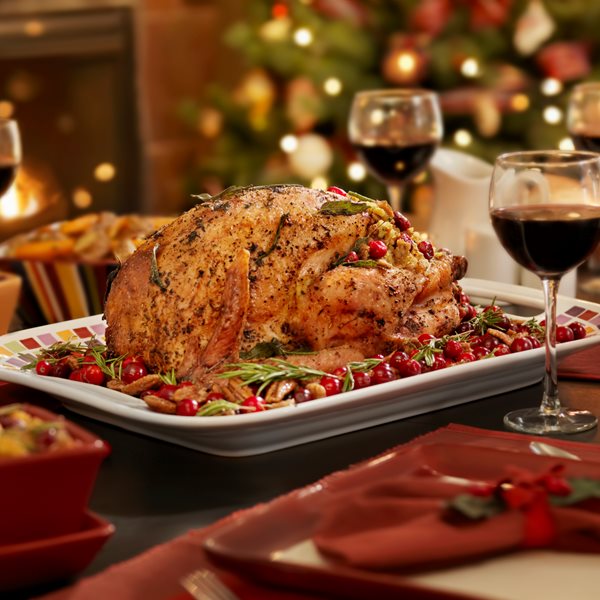 Όλα για τη γαλοπούλα