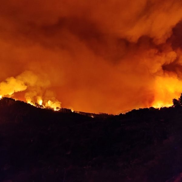 60.000 στρέμματα κάηκαν σε 4 μέρες, ο απολογισμός του Αστεροσκοπείου Αθηνών