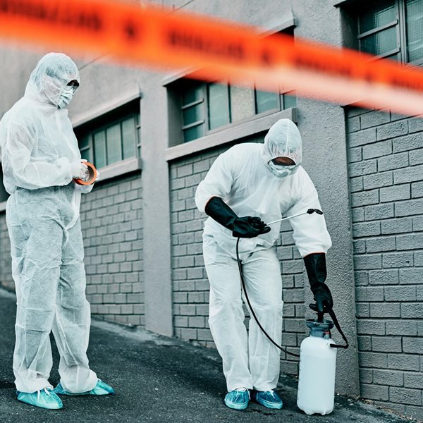 Ο κορονοϊός, η γρίπη και η αποφυγή του lockdown