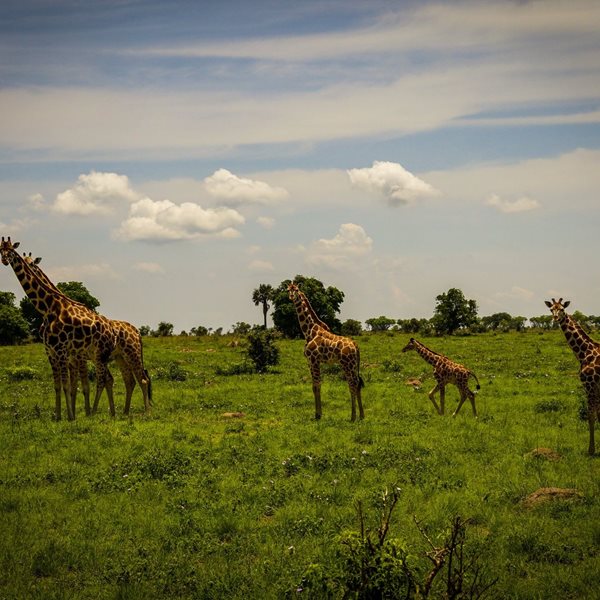 Τι μαθαίνεις κάνοντας φωτογραφικό σαφάρι στην Αφρική και μερικές υπέροχες εικόνες
