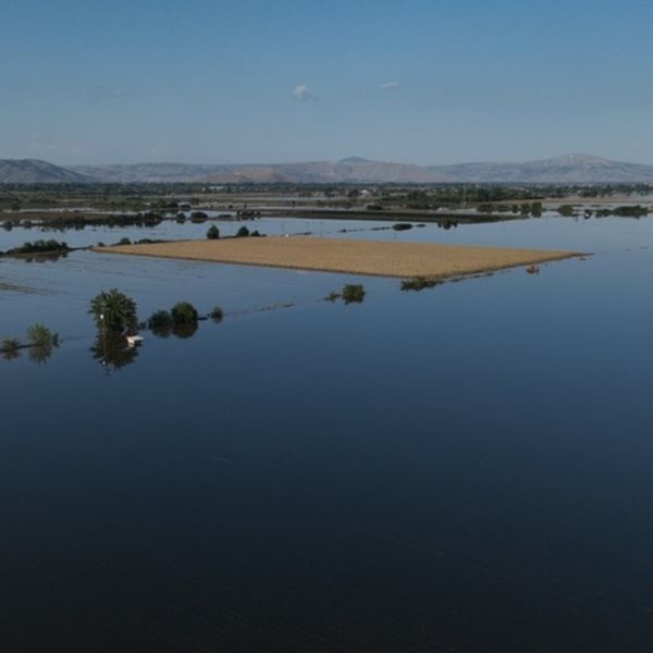 Οι επερχόμενες επιπτώσεις της κακοκαιρίας Daniel στην αλυσίδα τροφοδοσίας