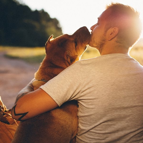 Ένα αντιγηραντικό φάρμακο για σκύλους μας δίνει ελπίδες