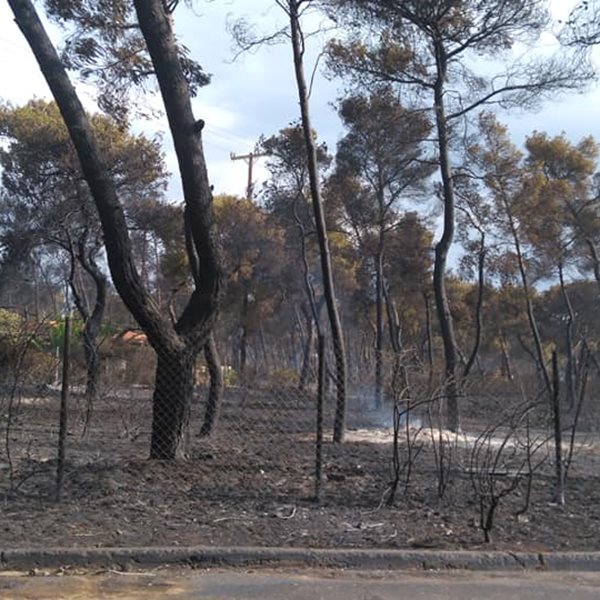 Σήμερα η απόφαση του δικαστηρίου για τη φονική πυρκαγιά στο Μάτι