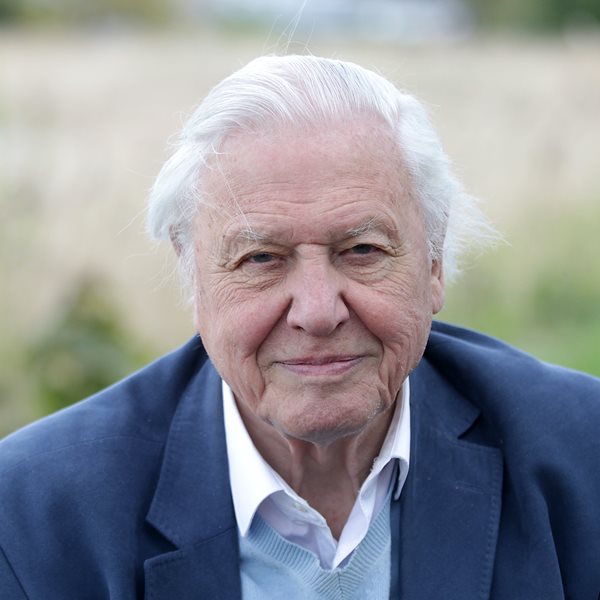 Το μήνυμα-ευχή του Sir David Attenborough για το 2021