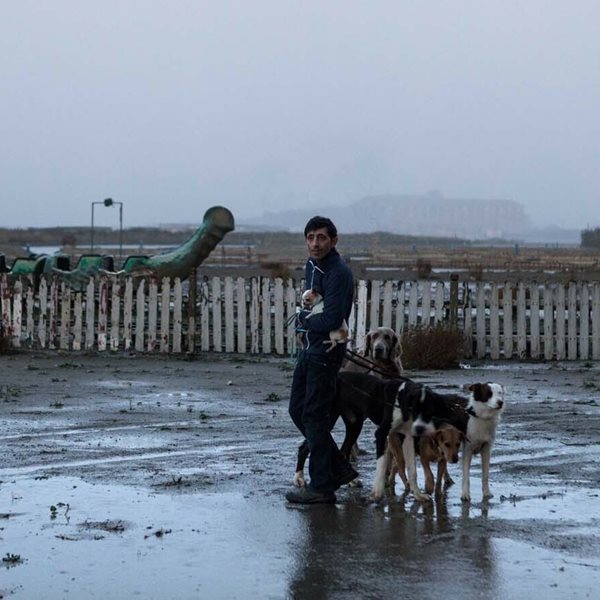 Dogman: Η ιταλική ταινία στο Ertflix που αξίζει να δείτε πριν κατέβει