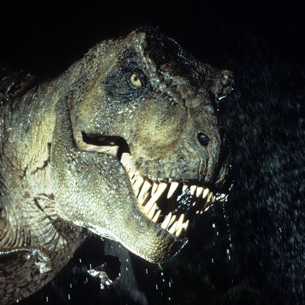 Σκελετός τυραννόσαυρου ηλικίας 67 εκ. ετών βγαίνει στο σφυρί