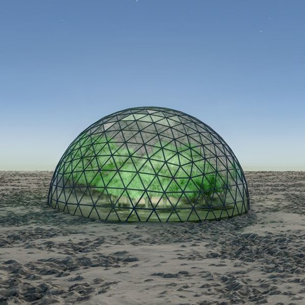 Κι όμως, υπάρχει ένα τρελό σχέδιο για ζωή στον Άρη