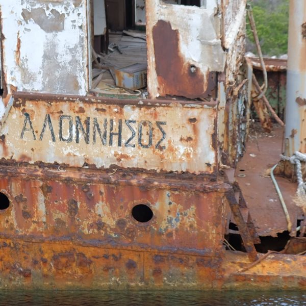 Η φώκια Κωστής έγινε ντοκιμαντέρ