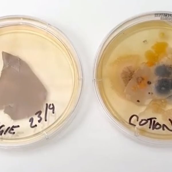 Άπλυτη μαξιλαροθήκη vs κάθισμα τουαλέτας: Πού κατοικούν περισσότερα βακτήρια;