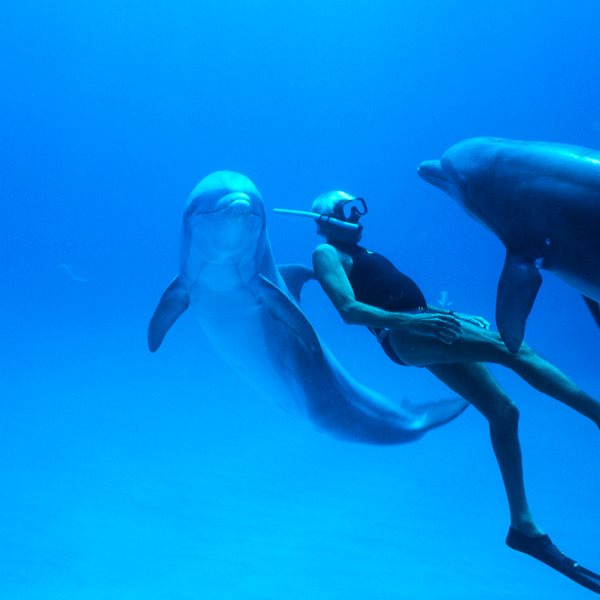 Παγκόσμια Ημέρα Γης και Dolphin Man στις Νύχτες Πρεμιέρας
