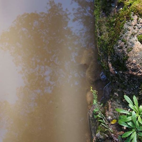 Ένας Αμαζόνιος στην Αθήνα