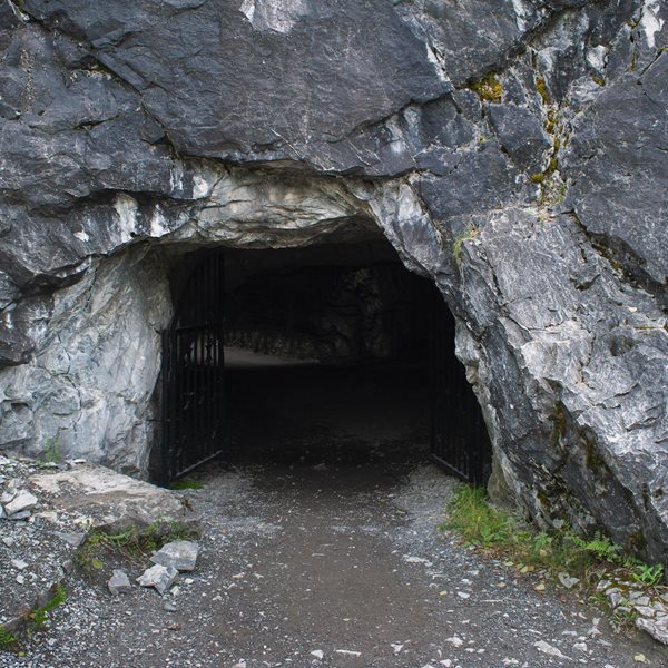 Στην Ινδονησία ανακαλύφθηκε η αρχαιότερη σπηλαιογραφία ζώου στον κόσμο