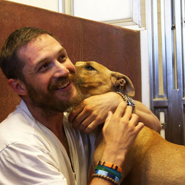 Τα σκυλιά σε κάνουν πιο χαρούμενο, πιο υγιή και πιο fit