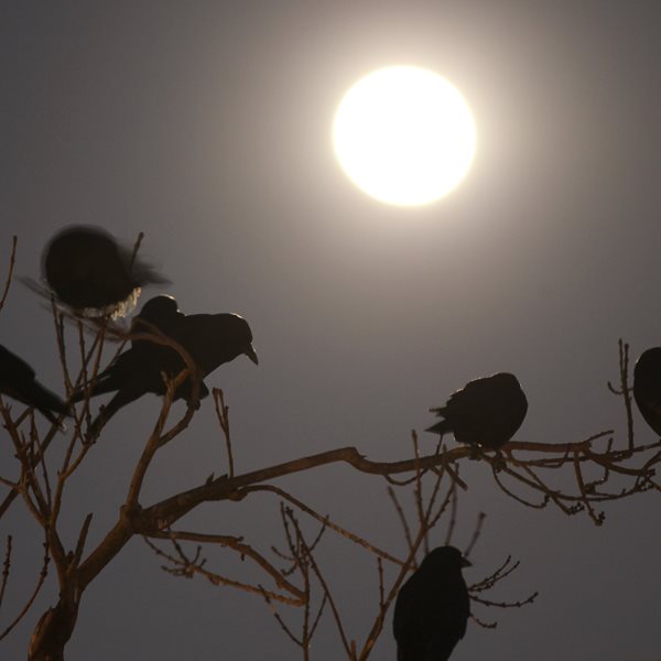 Πιο ζεστές οι νύχτες στην Ευρώπη λόγω της κλιματικής αλλαγής
