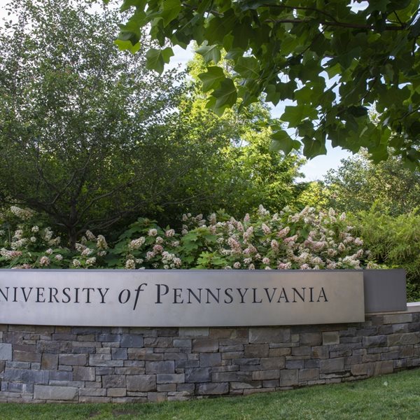 Τα κορυφαία πανεπιστήμια που παράγουν δισεκατομμυριούχους