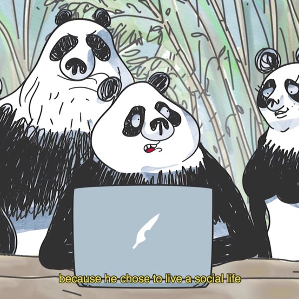 Animasyros 12: Tα highlights του φετινού προγράμματος