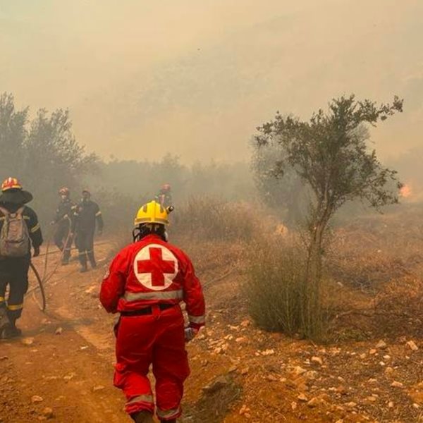 Μάχη με τις φλόγες σε Βοιωτία, Εύβοια, Καβάλα, Κύθνο - Οι εξελίξεις σε όλα τα μέτωπα